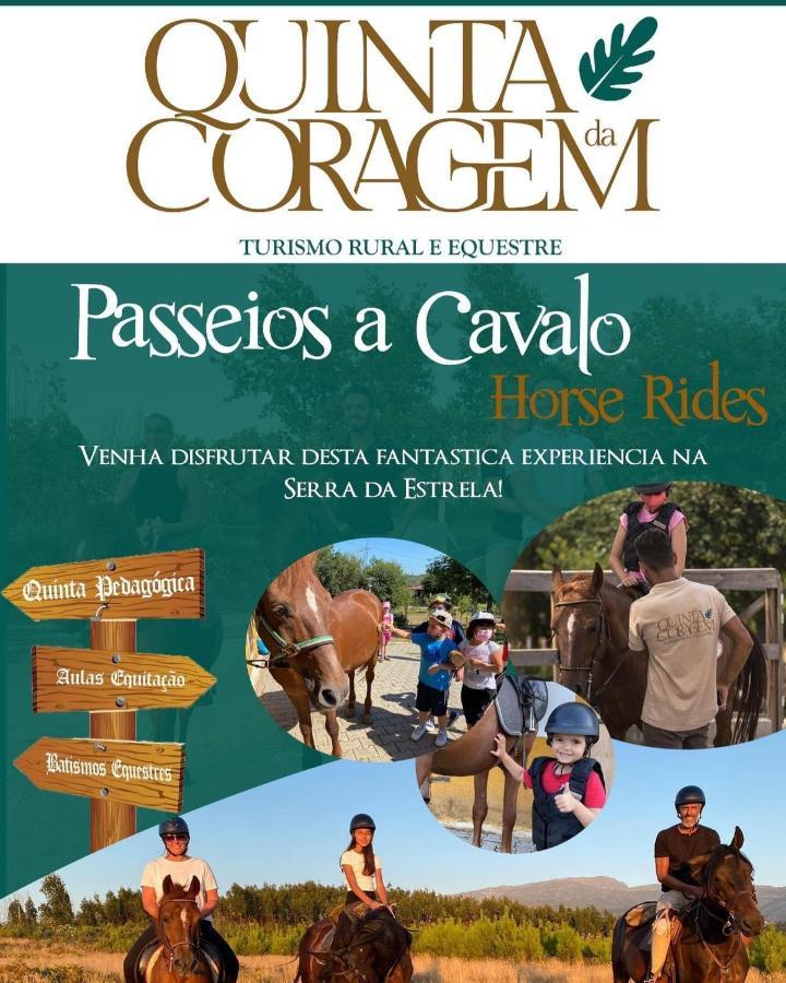 Apartmán Casa D'Avo Coragem Seia Exteriér fotografie